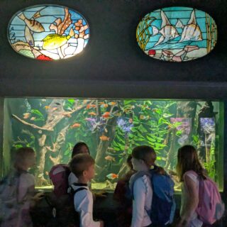 PXL_20260610_074743054.MP_-1