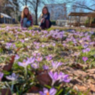 Screenshot_20260326-113220 (002)