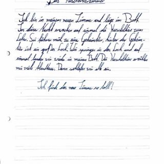 Traumlabor-Text-Merle-26.-Maerz-2026_page-0001