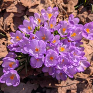 signal-2026-03-21-14-27-55-651 (002)