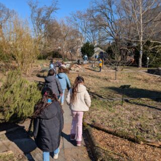 signal-2026-03-26-11-17-50-354 (002)